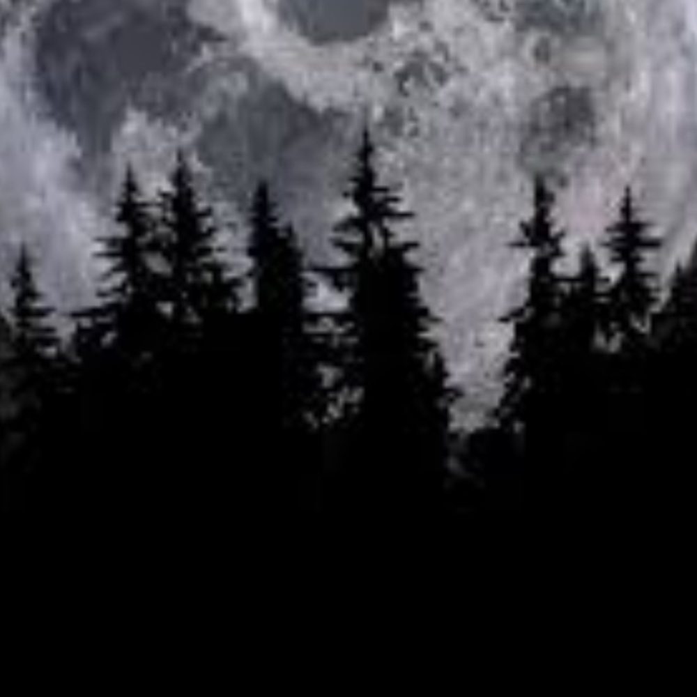 Meet your Posher, Lilly